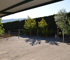 Casa Rural Huerta Vallejo