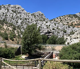 Benaoján surroundings